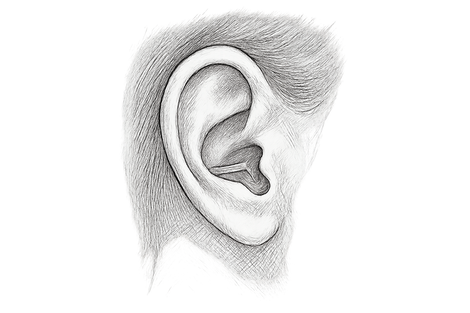 earfold avis